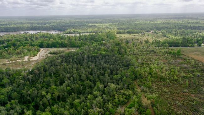 2771 S Highway 71, Home with 0 bedrooms, 0 bathrooms and null parking in Wewahitchka FL | Image 7