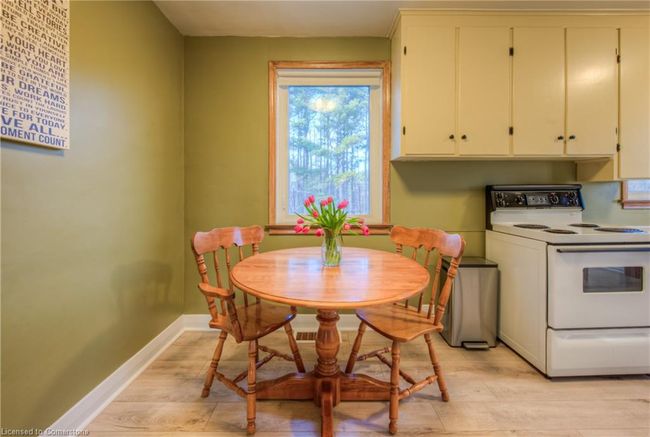 1327 Queen St, House other with 4 bedrooms, 1 bathrooms and 12 parking in New Dundee ON | Image 22