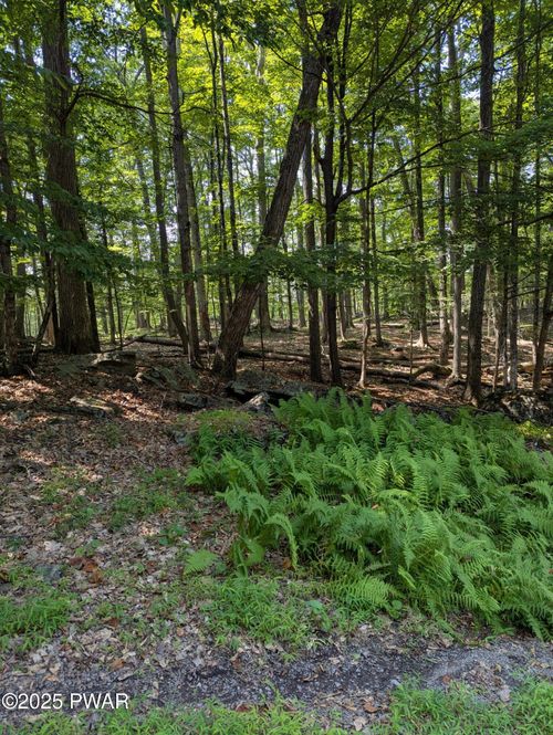 624 Lower Playground Trl, Hawley, PA, 18428 | Card Image