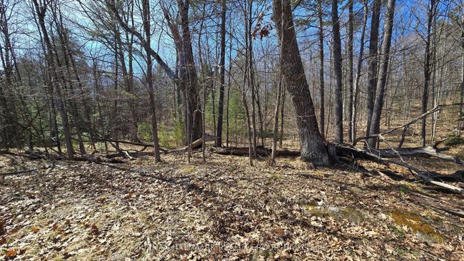0000 Calabogie Rd, Home with 0 bedrooms, 0 bathrooms and null parking in Burnstown ON | Image 15