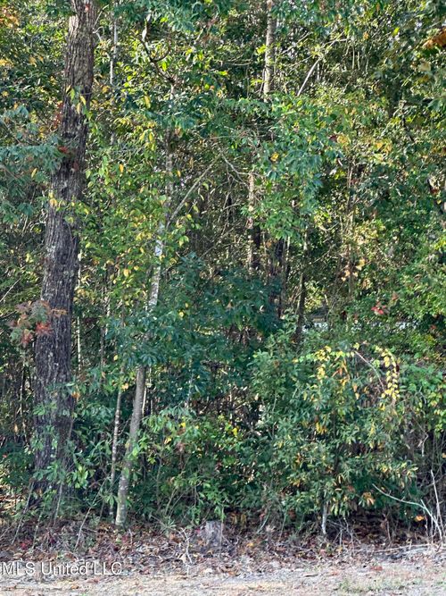 78122 Hilo Way, Diamondhead, MS, 39525-3722 | Card Image