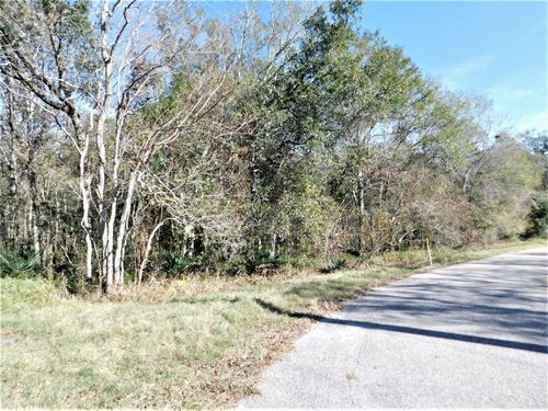 0 Brazos River Rd, Damon, TX, 77430 | Card Image