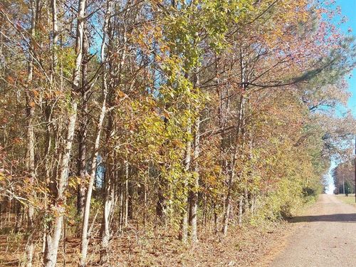 0000 County Road 4560, Bivins, TX, 75555 | Card Image