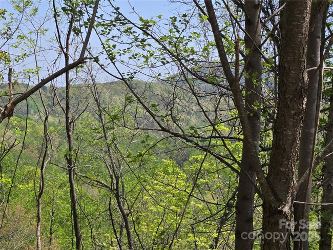 Lot 24 High Rock Rdg, Home with 0 bedrooms, 0 bathrooms and null parking in Lake Lure NC | Image 5