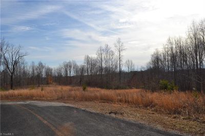 80 Acres Bobby Nelson Road, Home with 0 bedrooms, 0 bathrooms and null parking in Sandy Ridge NC | Image 3