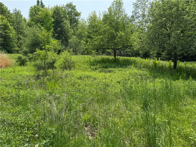 15014 Silver Creek Rd, House other with 1 bedrooms, 1 bathrooms and null parking in Birnamwood WI | Image 37