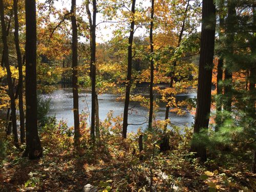 XXX Industrial Blvd, SHELL LAKE, WI, 54871 | Card Image