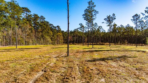 0020 Big Buck Drive, Moscow, TX, 75960 | Card Image