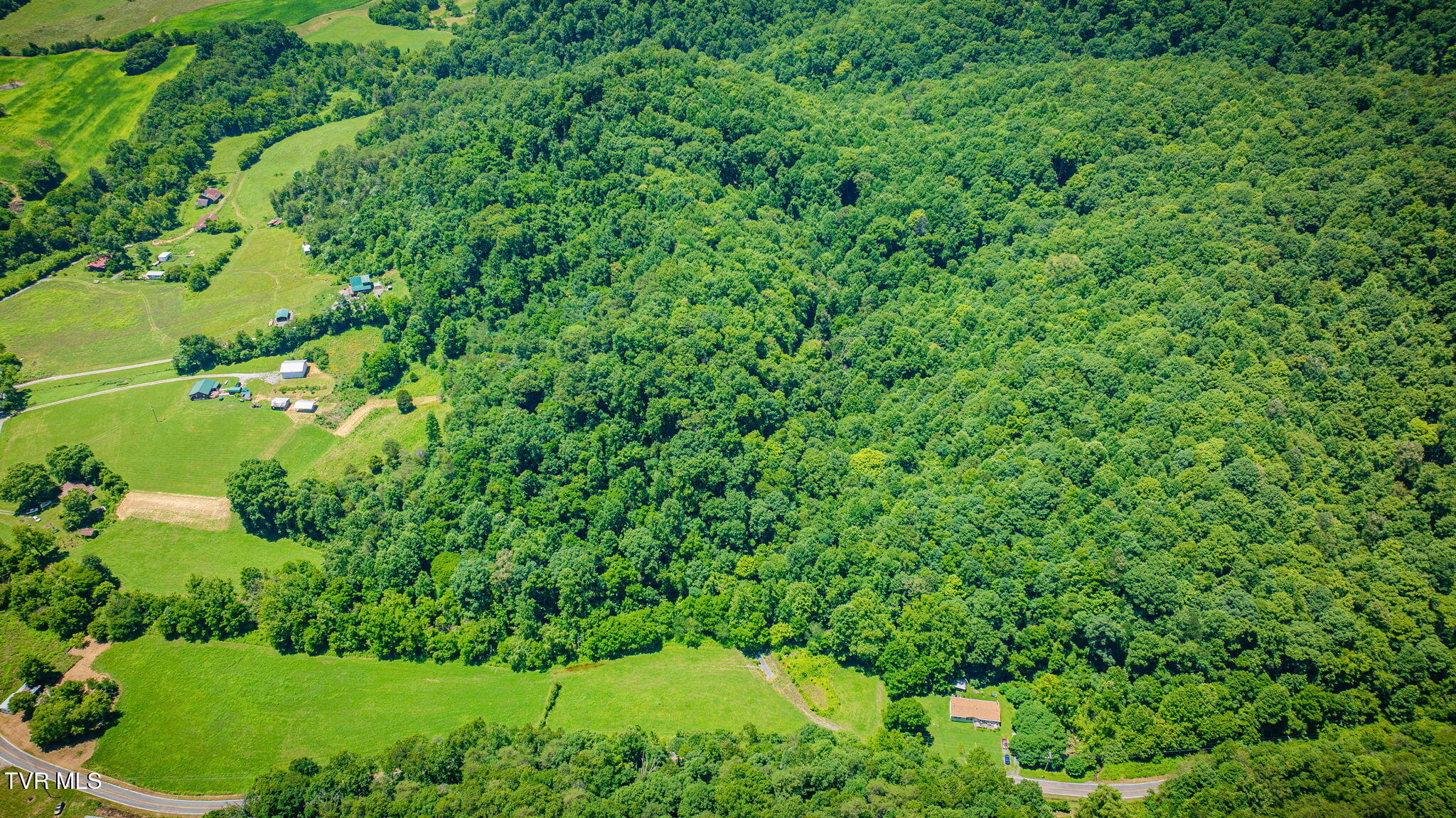 Land in Rogersville