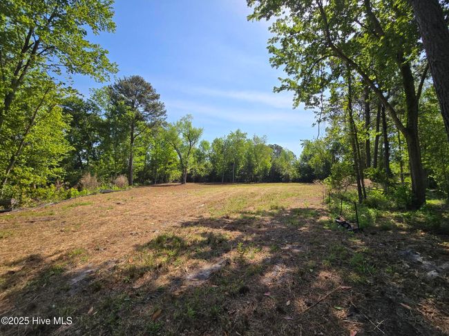 1254 Shenandoah St, Home with 0 bedrooms, 0 bathrooms and null parking in Wilmington NC | Image 20