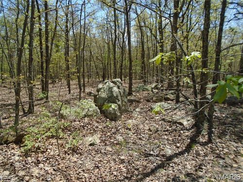 0 Whitetail Glen Trl, Ironton, MO, 63650 | Card Image