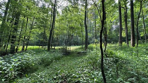 000 Bud West Rd, Boomer, NC, 28606 | Card Image