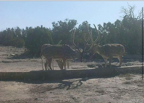 000 Sd 45340, Rocksprings, TX, 78880 | Card Image