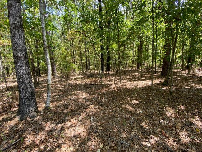 141 Buford Lashley Rd, House other with 1 bedrooms, 1 bathrooms and null parking in Atlanta LA | Image 10