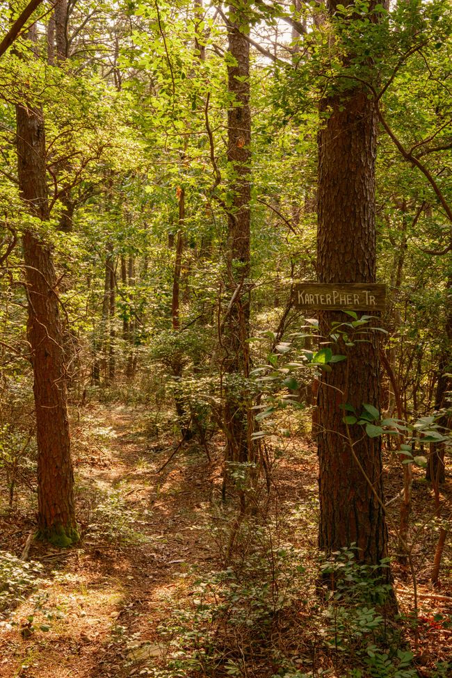 0 Long Branch Rd, Home with 0 bedrooms, 0 bathrooms and null parking in Rising Fawn GA | Image 41