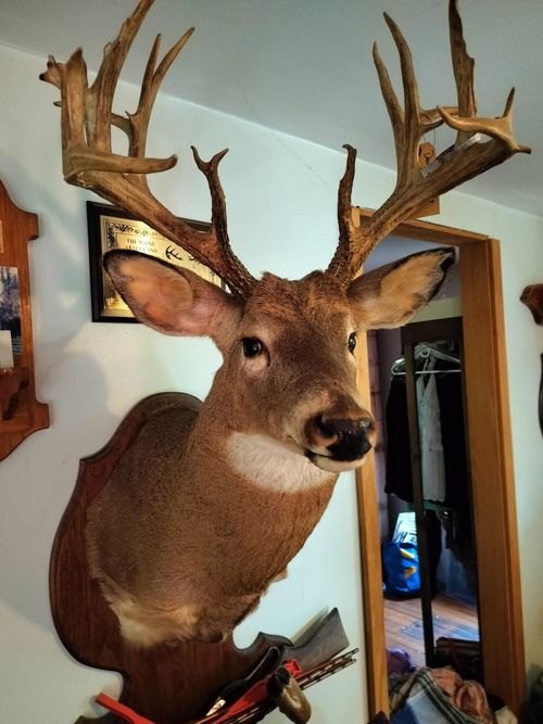 414 Village Road, Jackson, ME, 04921 | Card Image