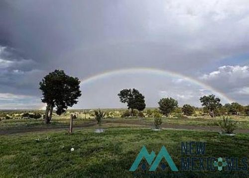 32 W Hickey, Pie Town, NM, 87827 | Card Image