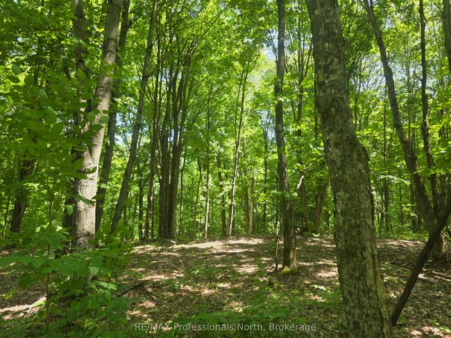 1134 Walker Line Rd, Home with 0 bedrooms, 0 bathrooms and null parking in Algonquin Highlands ON | Image 14