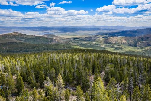 NHN Rosa Trl, Anaconda, MT, 59711 | Card Image