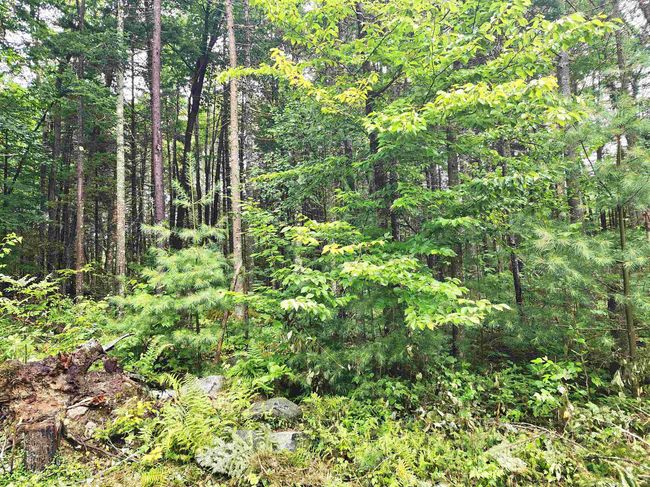 213 Bell Hill Rd, House other with 2 bedrooms, 1 bathrooms and null parking in Stark NH | Image 22