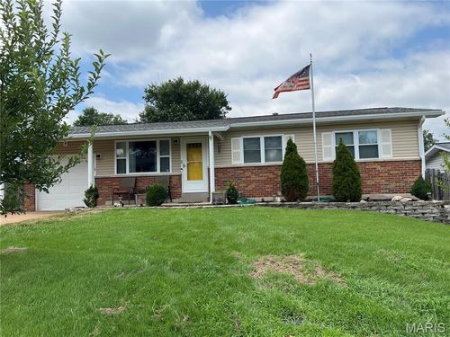 10933 Arctic Dr, Affton, MO, 63123-7005 | Card Image