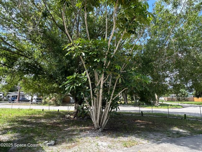 1602 Harvard Dr, House other with 3 bedrooms, 1 bathrooms and null parking in Cocoa FL | Image 5