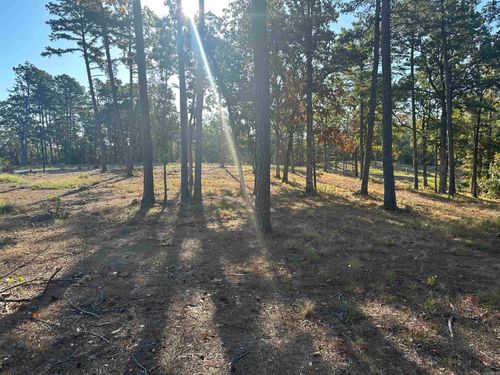 2915 Orchard View Dr, Conway, AR, 72034-5095 | Card Image