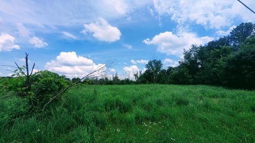 W364N7020 Mcmahon Road, LAC LA BELLE, WI, 53066 | Card Image