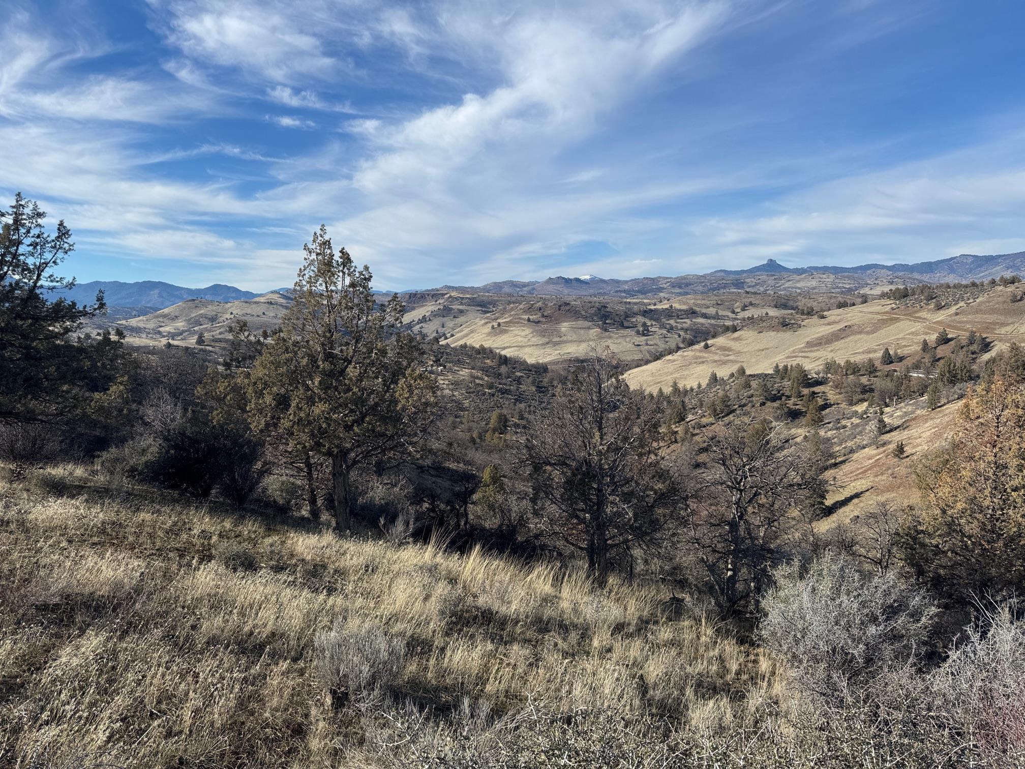 Land in Montague