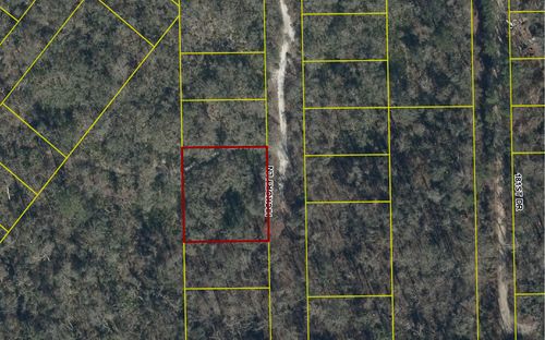 TBD Hickory Ln, Live Oak, FL, 32060 | Card Image