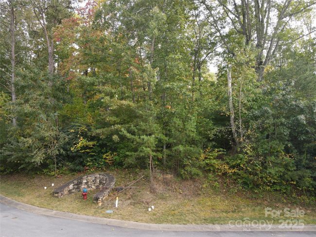 Summer street view of lot | Image 11