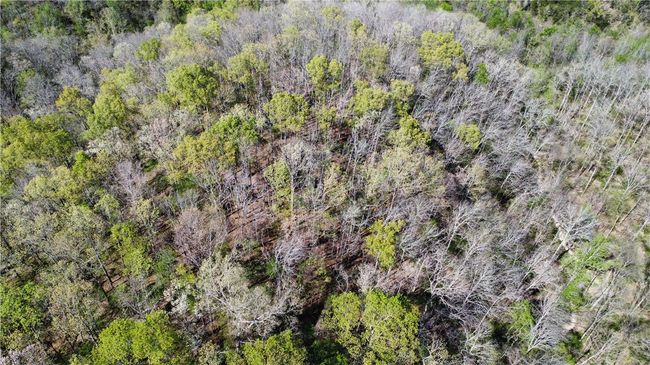 000 Holmes Rd, Home with 0 bedrooms, 0 bathrooms and null parking in Mountain View AR | Image 13