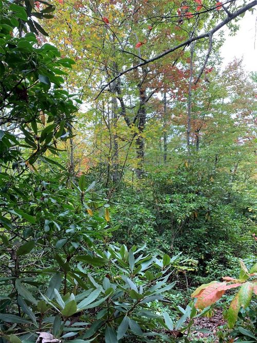 TBD Eastatoe Gap Rd, Rosman, NC, 28772 | Card Image
