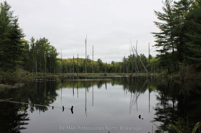 24430 Highway 35 Highway, House other with 2 bedrooms, 1 bathrooms and 4 parking in Lake of Bays ON | Image 39