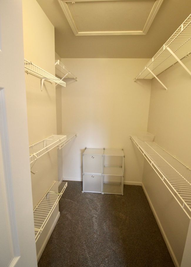 Primary features large 7x5 walk-in closet. | Image 15