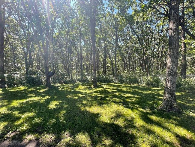 Backyard. | Image 29