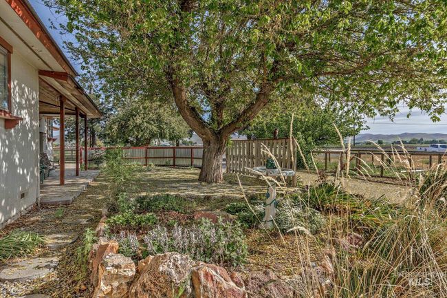 Front courtyard | Image 36