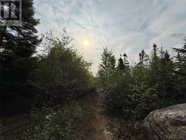 4 Boot Brook Rd, Home with 2 bedrooms, 2 bathrooms and null parking in Howley NL | Image 14