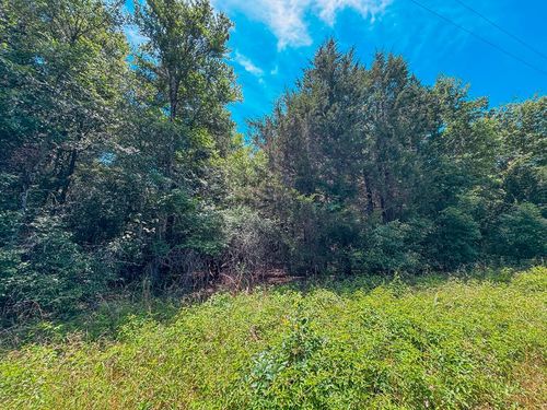TBD An County Road 2608, Tennessee Colony, TX, 75861 | Card Image