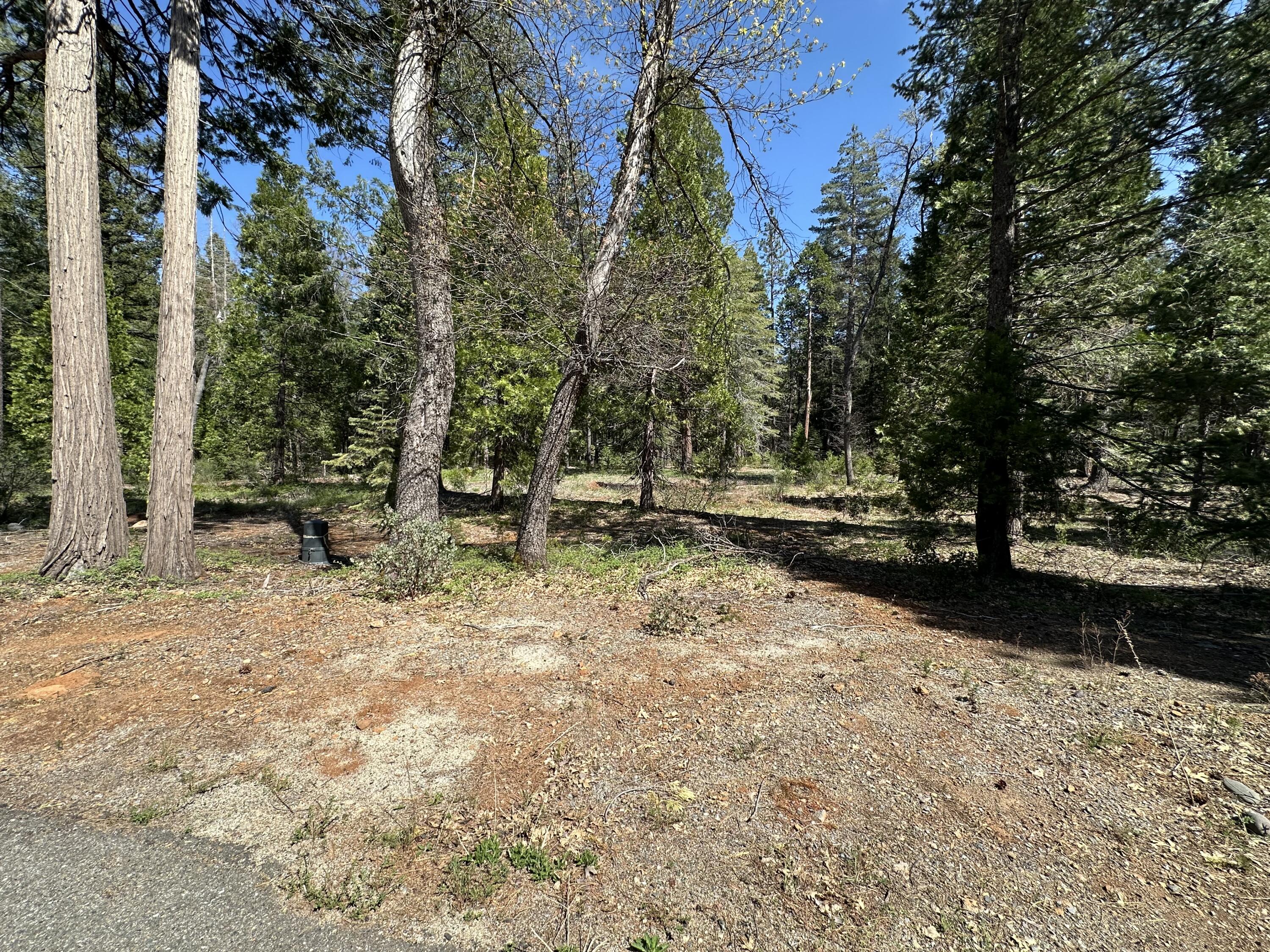 Land in Shingletown 3