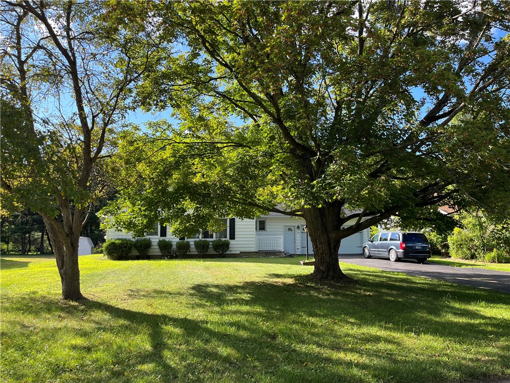 Residential Lease in Erwin 2