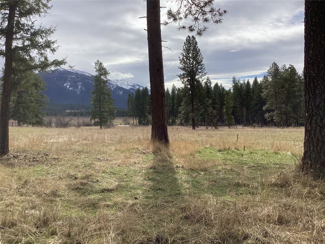 1 Eagle Pass Road, Home with 0 bedrooms, 0 bathrooms and null parking in Charlo MT | Image 16