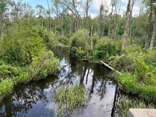 TBD Catalina Blvd, North, SC, 29112 | Card Image