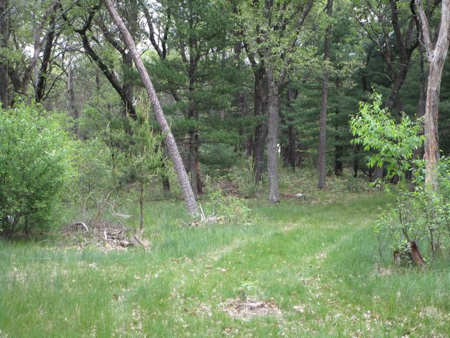 2018 9 Th Ave, Home with 2 bedrooms, 1 bathrooms and null parking in Adams WI | Image 37