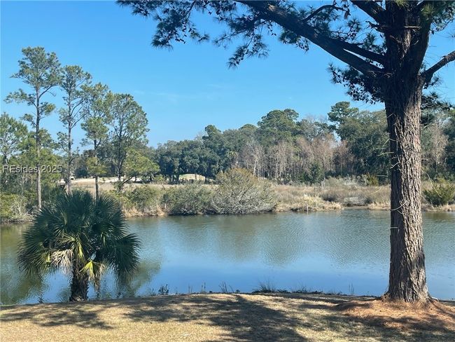 Brackish Lagoon | Image 57