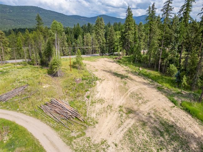 View of mountain background with a forest | Image 22