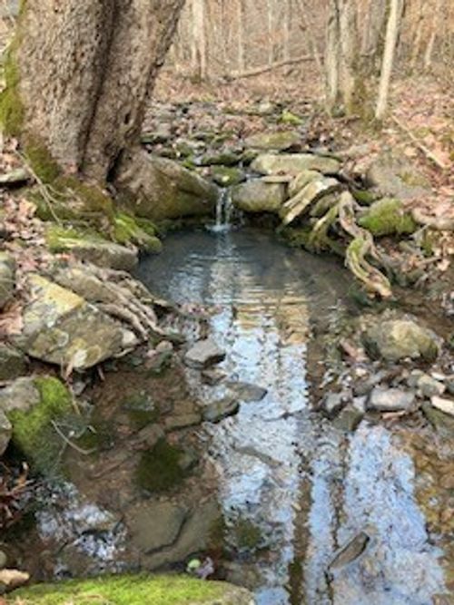 5239 Cr, Other Ar, AR, 72852 | Card Image