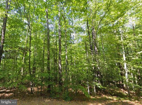 8944 Jessie Dupont Memorial Highway, Kilmarnock, VA, 22482 | Card Image