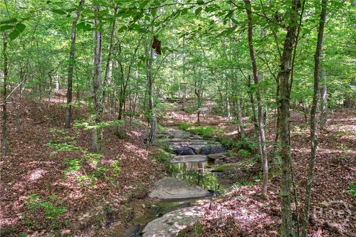0 Gene Smith Rd, Carlton, GA, 30627 | Card Image