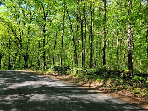 Lot 8 Daniels Rd, Charlton, MA, 01507 | Card Image